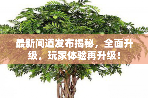 最新问道发布揭秘，全面升级，玩家体验再升级！