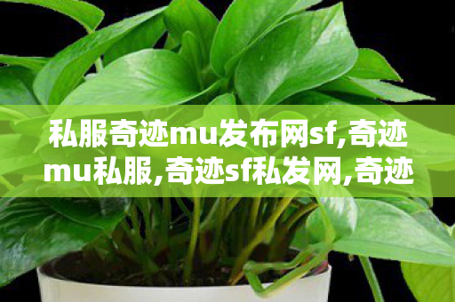 私服奇迹mu发布网sf,奇迹mu私服,奇迹sf私发网,奇迹mu私服
