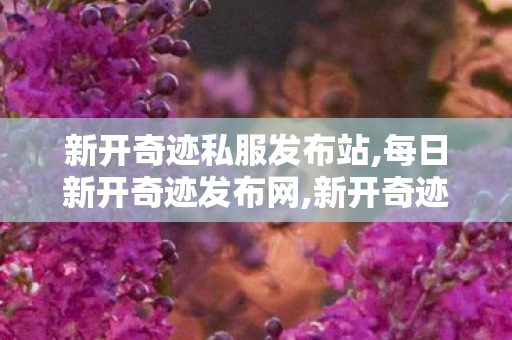 新开奇迹私服发布站,每日新开奇迹发布网,新开奇迹musf发布网,每日新开奇迹发布网