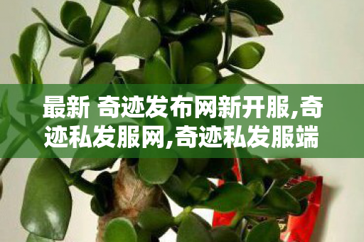 最新 奇迹发布网新开服,奇迹私发服网,奇迹私发服端游,奇迹私发服网