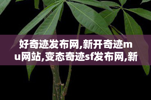 好奇迹发布网,新开奇迹mu网站,变态奇迹sf发布网,新开奇迹mu网站