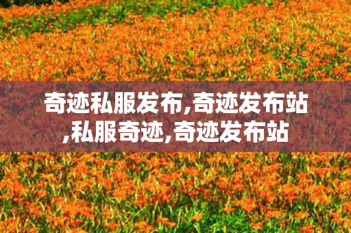 奇迹私服发布,奇迹发布站,私服奇迹,奇迹发布站
