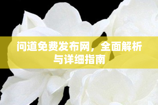 问道免费发布网，全面解析与详细指南