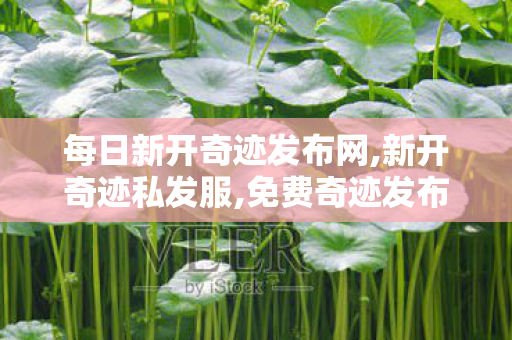 每日新开奇迹发布网,新开奇迹私发服,免费奇迹发布网,新开奇迹私发服