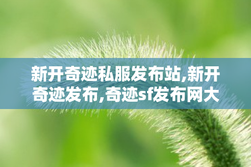 新开奇迹私服发布站,新开奇迹发布,奇迹sf发布网大全,新开奇迹发布