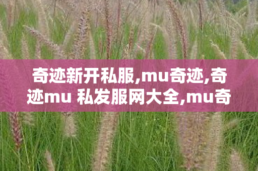 奇迹新开私服,mu奇迹,奇迹mu 私发服网大全,mu奇迹