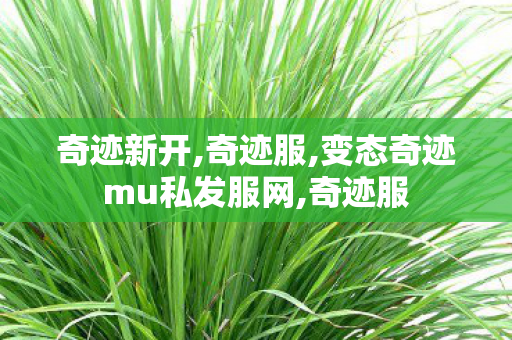奇迹新开,奇迹服,变态奇迹mu私发服网,奇迹服