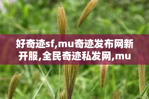 好奇迹sf,mu奇迹发布网新开服,全民奇迹私发网,mu奇迹发布网新开服