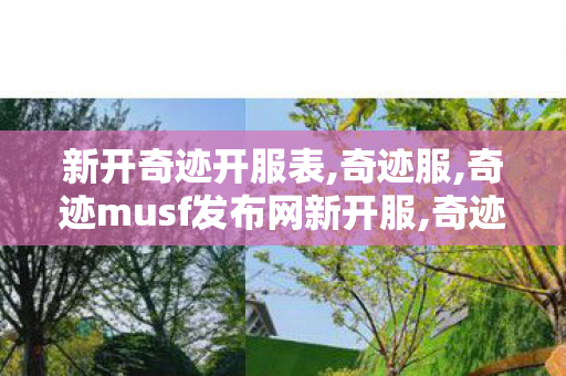 新开奇迹开服表,奇迹服,奇迹musf发布网新开服,奇迹服