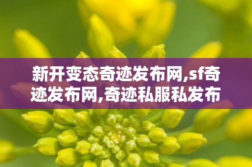新开变态奇迹发布网,sf奇迹发布网,奇迹私服私发布网,sf奇迹发布网