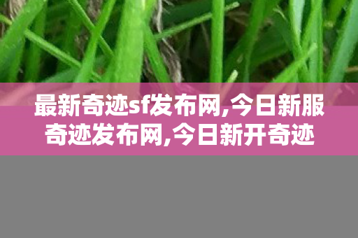 最新奇迹sf发布网,今日新服奇迹发布网,今日新开奇迹私发网,今日新服奇迹发布网