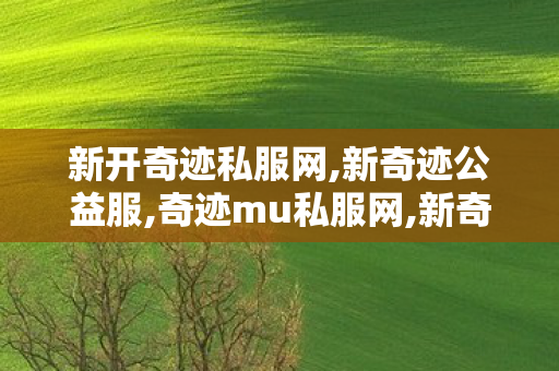 新开奇迹私服网,新奇迹公益服,奇迹mu私服网,新奇迹公益服