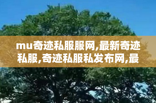 mu奇迹私服服网,最新奇迹私服,奇迹私服私发布网,最新奇迹私服