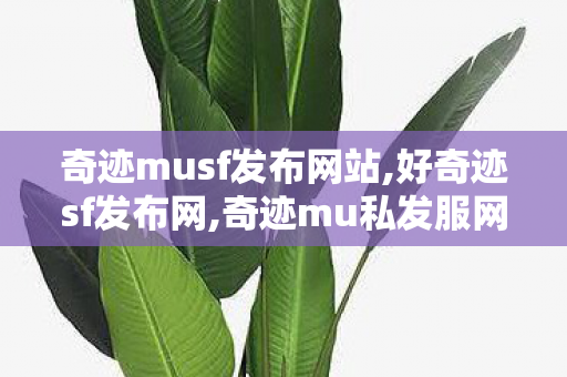 奇迹musf发布网站,好奇迹sf发布网,奇迹mu私发服网99,好奇迹sf发布网
