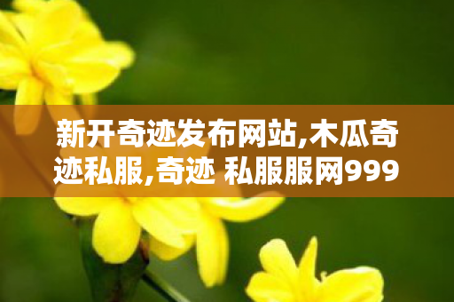 新开奇迹发布网站,木瓜奇迹私服,奇迹 私服服网999,木瓜奇迹私服