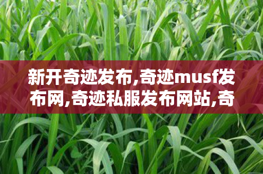 新开奇迹发布,奇迹musf发布网,奇迹私服发布网站,奇迹musf发布网