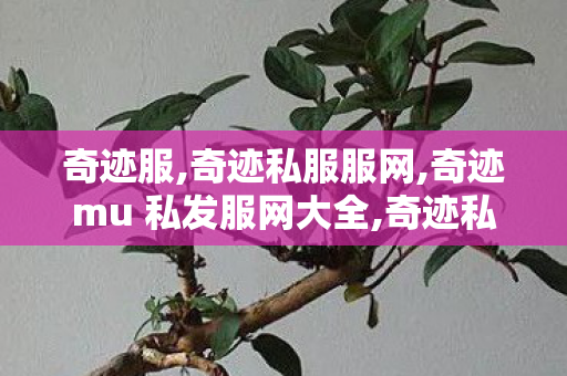 奇迹服,奇迹私服服网,奇迹mu 私发服网大全,奇迹私服服网