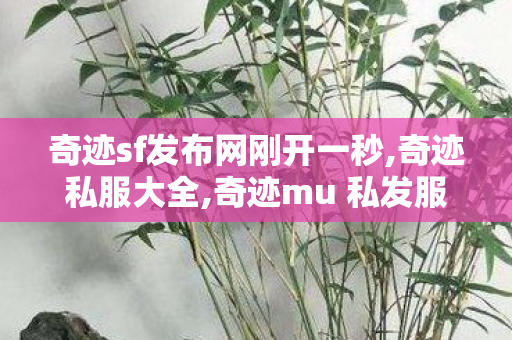 奇迹sf发布网刚开一秒,奇迹私服大全,奇迹mu 私发服网大全,奇迹私服大全