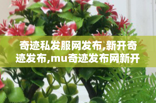 奇迹私发服网发布,新开奇迹发布,mu奇迹发布网新开服,新开奇迹发布