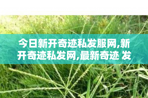 今日新开奇迹私发服网,新开奇迹私发网,最新奇迹 发布网新开服,新开奇迹私发网