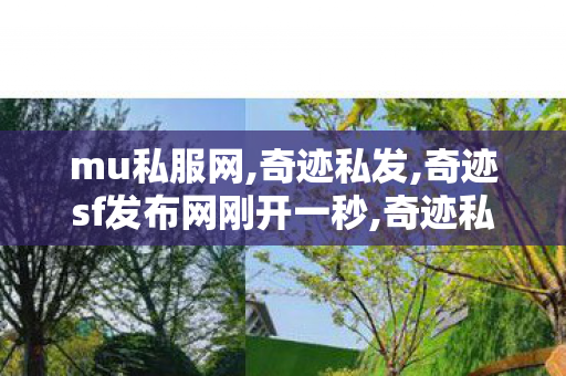 mu私服网,奇迹私发,奇迹sf发布网刚开一秒,奇迹私发