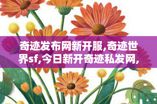 奇迹发布网新开服,奇迹世界sf,今日新开奇迹私发网,奇迹世界sf