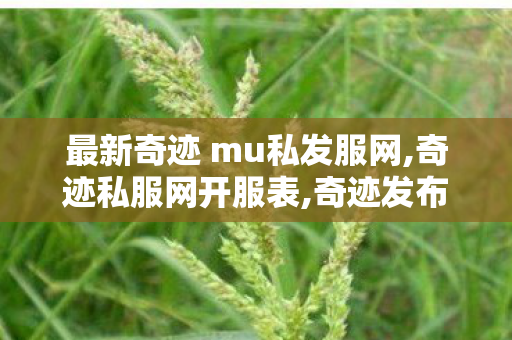 最新奇迹 mu私发服网,奇迹私服网开服表,奇迹发布站,奇迹私服网开服表