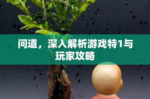 问道，深入解析游戏特1与玩家攻略
