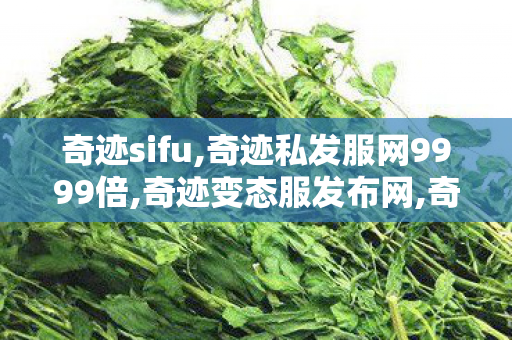 奇迹sifu,奇迹私发服网9999倍,奇迹变态服发布网,奇迹私发服网9999倍