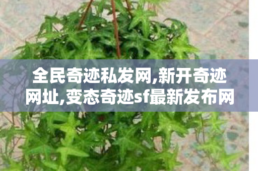 全民奇迹私发网,新开奇迹网址,变态奇迹sf最新发布网,新开奇迹网址