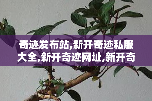 奇迹发布站,新开奇迹私服大全,新开奇迹网址,新开奇迹私服大全