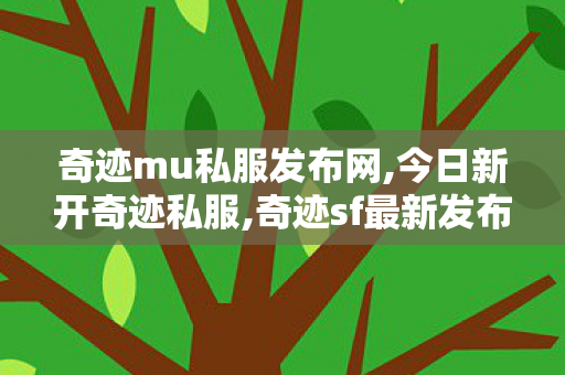 奇迹mu私服发布网,今日新开奇迹私服,奇迹sf最新发布网,今日新开奇迹私服