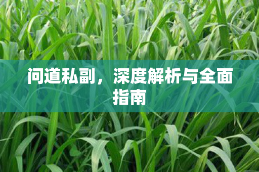 问道私副，深度解析与全面指南