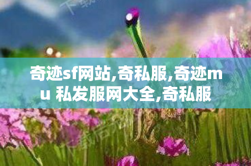 奇迹sf网站,奇私服,奇迹mu 私发服网大全,奇私服