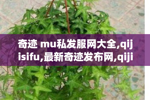 奇迹 mu私发服网大全,qijisifu,最新奇迹发布网,qijisifu