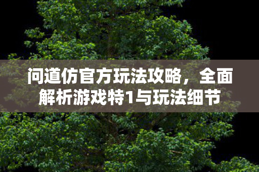 问道仿官方玩法攻略，全面解析游戏特1与玩法细节