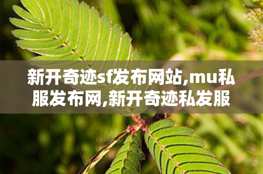 新开奇迹sf发布网站,mu私服发布网,新开奇迹私发服,mu私服发布网
