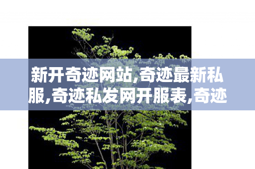 新开奇迹网站,奇迹最新私服,奇迹私发网开服表,奇迹最新私服