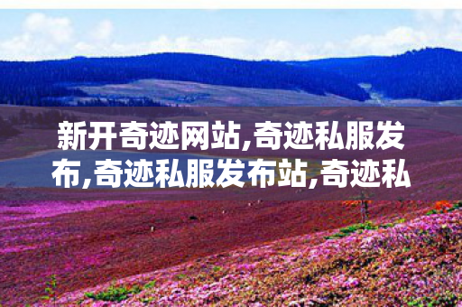 新开奇迹网站,奇迹私服发布,奇迹私服发布站,奇迹私服发布