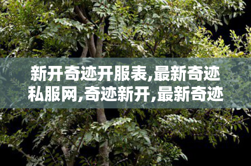 新开奇迹开服表,最新奇迹私服网,奇迹新开,最新奇迹私服网