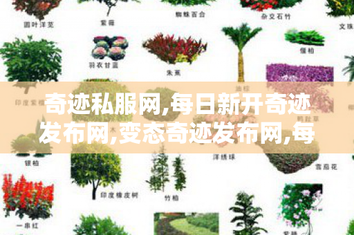 奇迹私服网,每日新开奇迹发布网,变态奇迹发布网,每日新开奇迹发布网