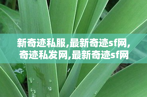 新奇迹私服,最新奇迹sf网,奇迹私发网,最新奇迹sf网
