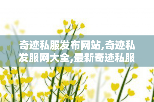 奇迹私服发布网站,奇迹私发服网大全,最新奇迹私服网,奇迹私发服网大全