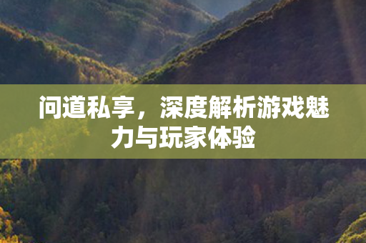 问道私享，深度解析游戏魅力与玩家体验