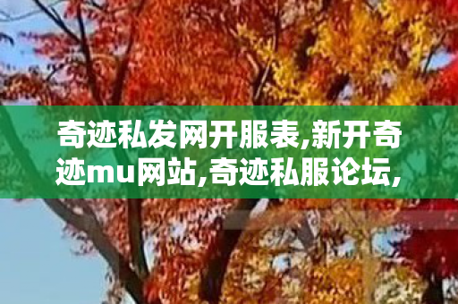 奇迹私发网开服表,新开奇迹mu网站,奇迹私服论坛,新开奇迹mu网站