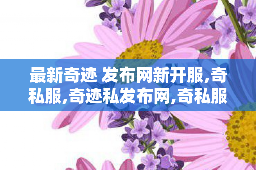 最新奇迹 发布网新开服,奇私服,奇迹私发布网,奇私服
