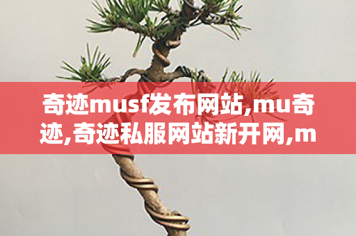 奇迹musf发布网站,mu奇迹,奇迹私服网站新开网,mu奇迹