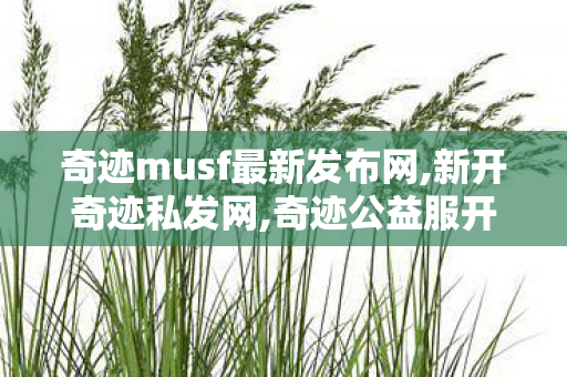 奇迹musf最新发布网,新开奇迹私发网,奇迹公益服开服表,新开奇迹私发网