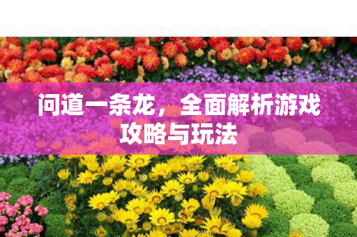 问道一条龙，全面解析游戏攻略与玩法