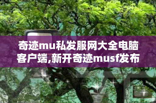 奇迹mu私发服网大全电脑客户端,新开奇迹musf发布网,奇迹mu私发服网99,新开奇迹musf发布网